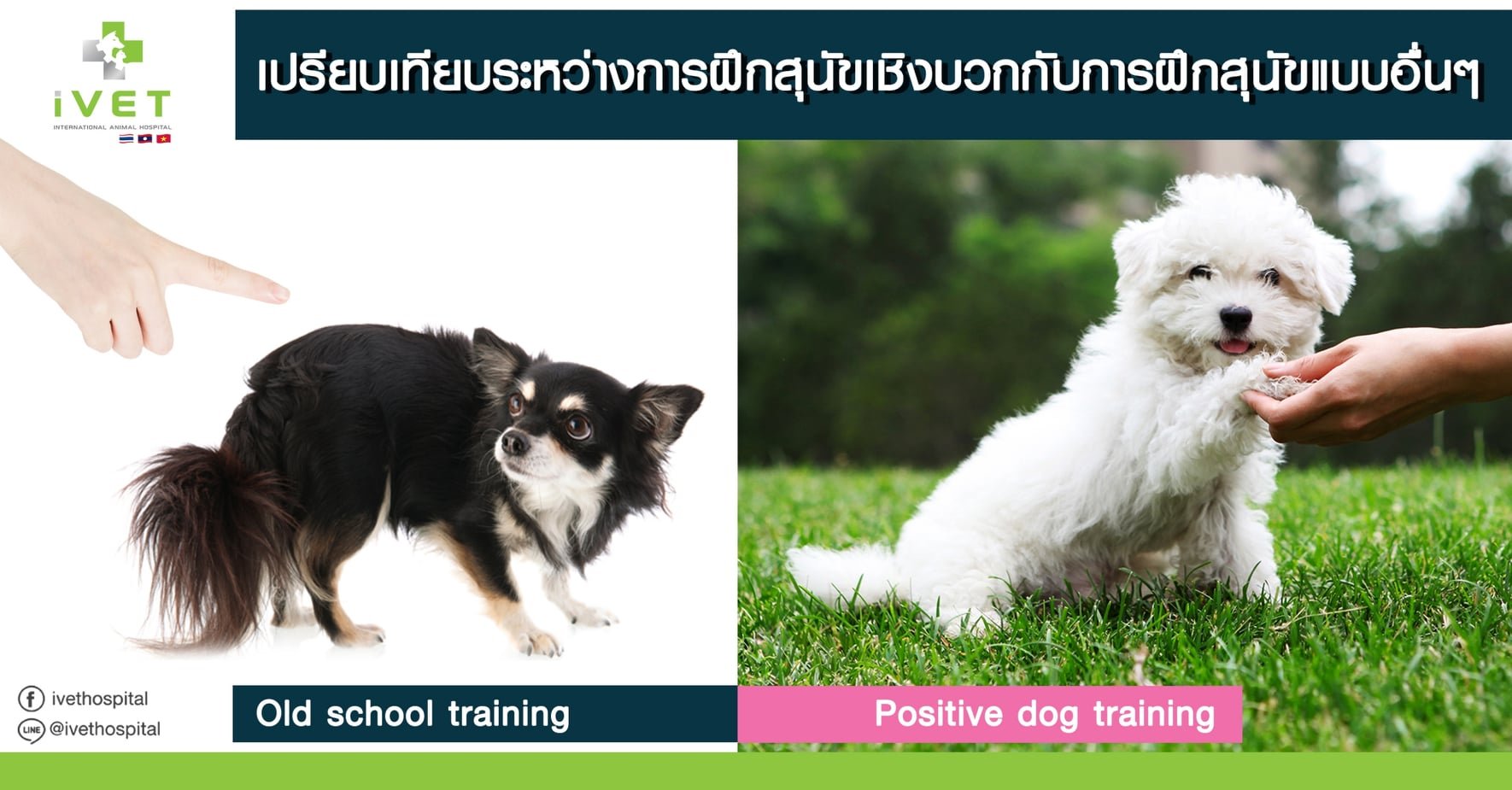 เปรียบเทียบระหว่างการฝึกสุนัขเชิงบวกกับการฝึกสุนัขแบบอื่นๆ
